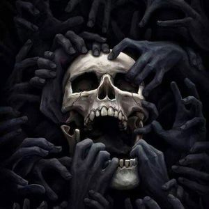 Meet your Posher, Todd jennifer